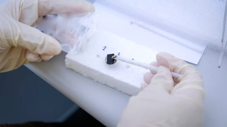 How Temperature Probes Work: A Simple Overview - SensoScientific